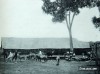 Hình ảnh hiếm có về Darlac những năm 1930