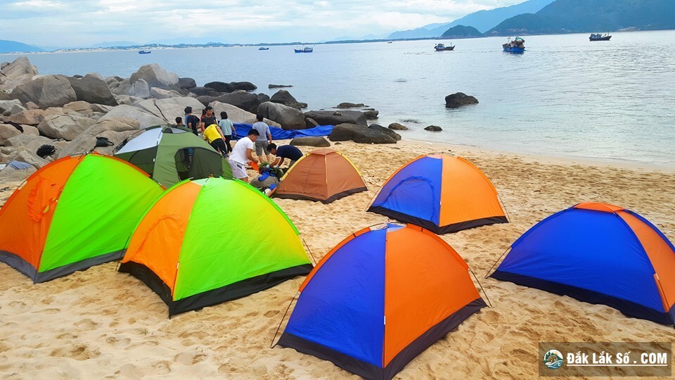 chu khung long hon nua hap dan du khachjpg5 10554714