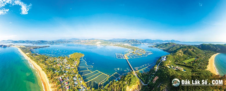 dam cu mong