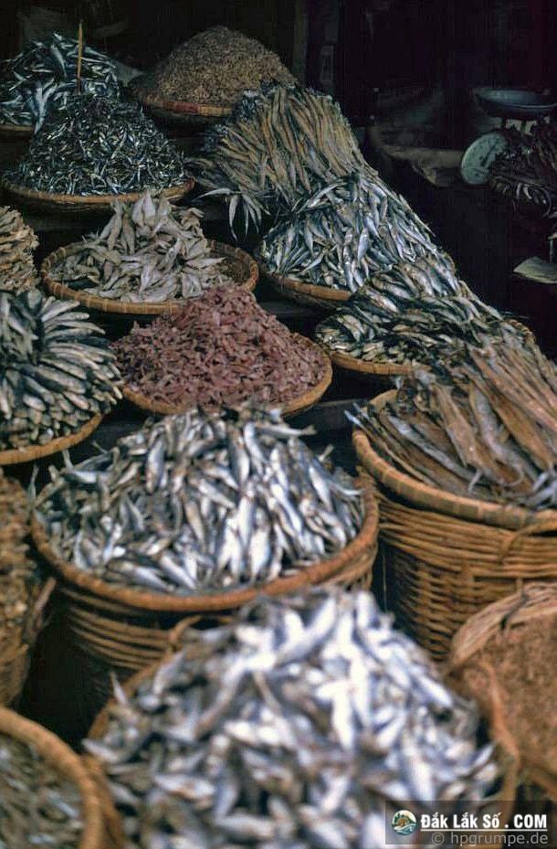 khac la chum anh mau ve buon ma thuot nam 1992 Hinh 6