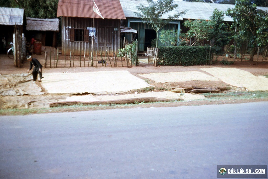 mac thi buoi 1965
