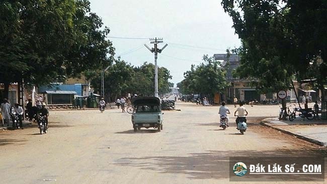 Nga Nam Vanvn