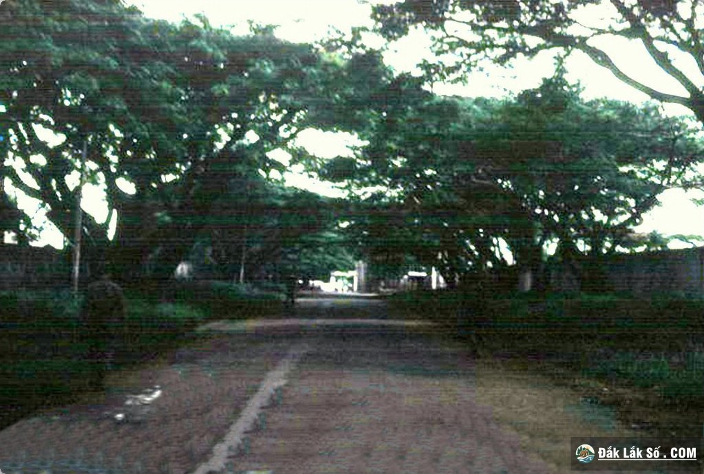 nguyen du