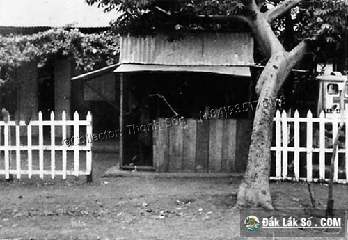 ntmk 1963
